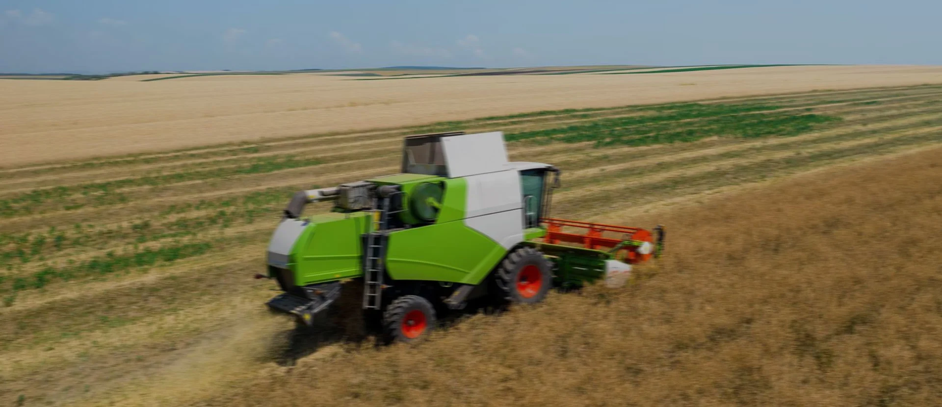 Fornitore di attrezzature agricole in Cina