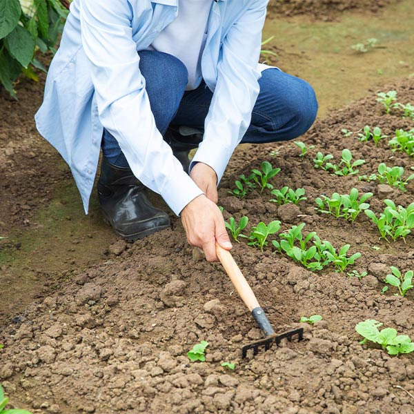Agricoltura